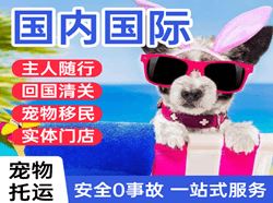 佛山沙堤航空运输国际宠物托运 【国
